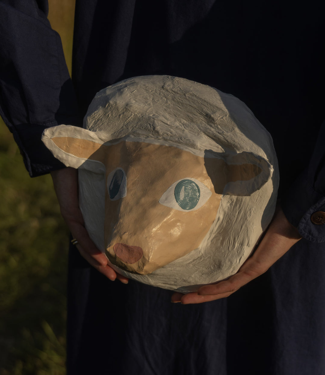 Schaap Rosinha