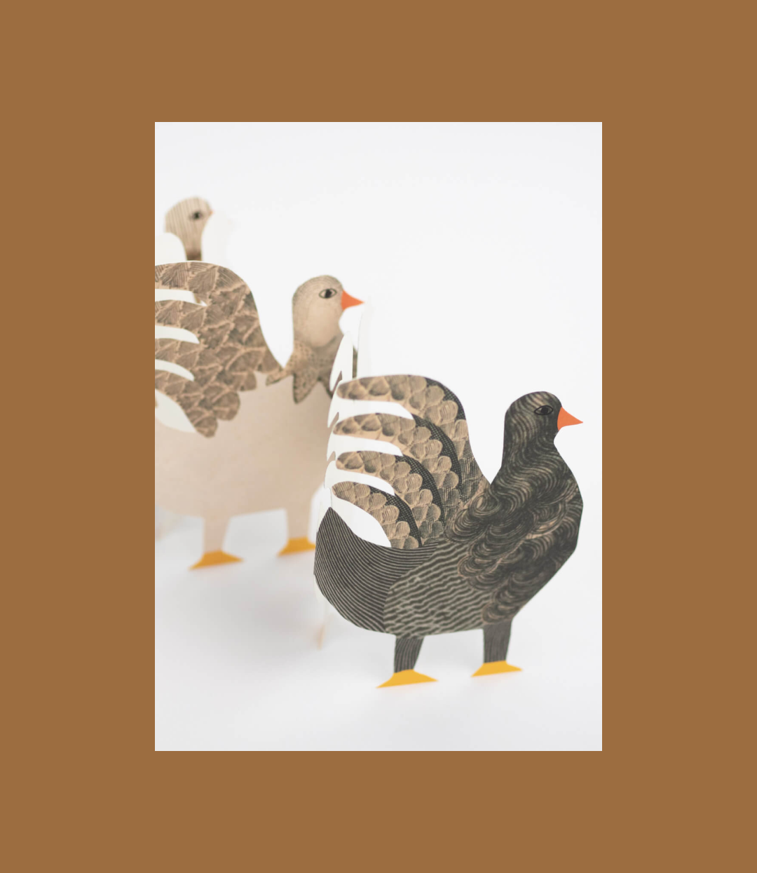 Chickens Concertina