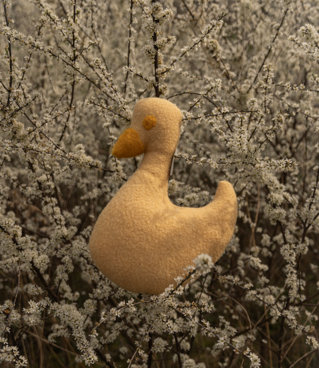 LUUS