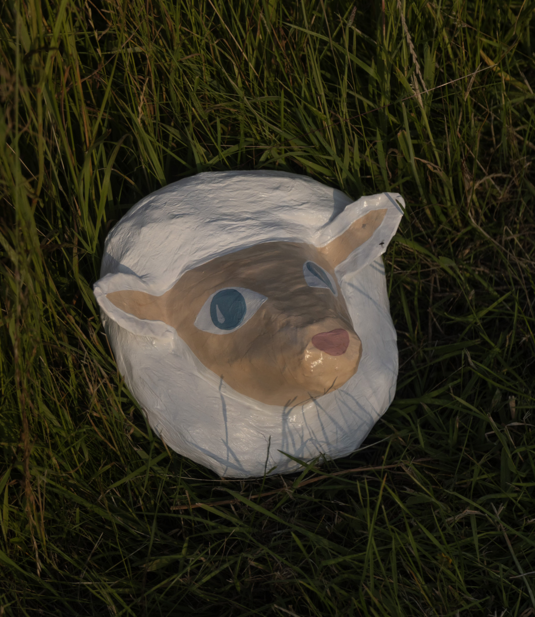 Schaap Rosinha