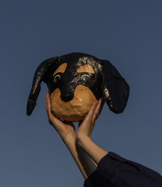 Puppy Bento