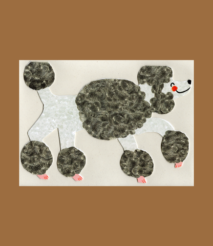 The Poodle