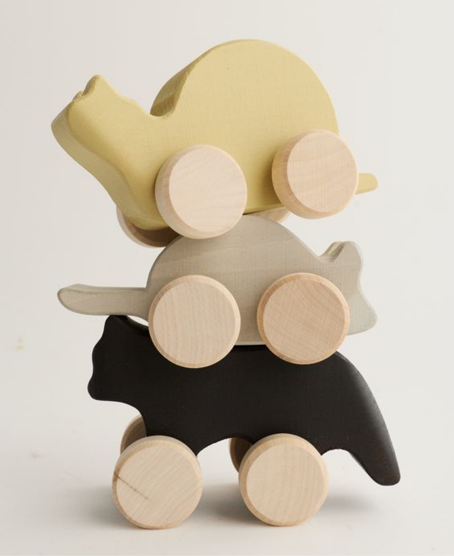 Snail Vehicle