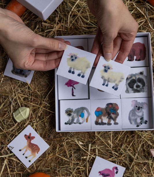 Memory spel - Rop van Mierlo