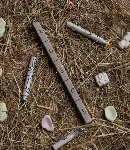 Woset Bugs Snap 'n Share Markers