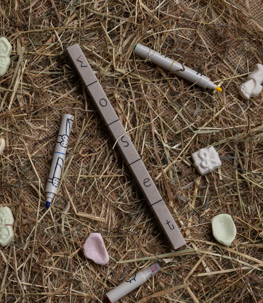 Woset Bugs Snap 'n Share Markers