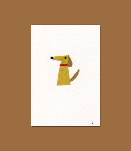 Hond