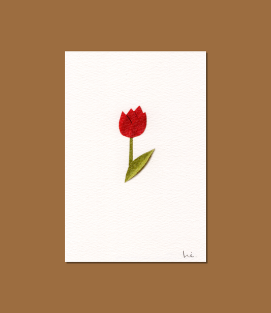Tulp